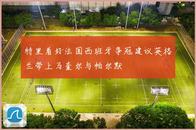 特里看好法国西班牙争冠建议英格兰带上马奎尔与帕尔默