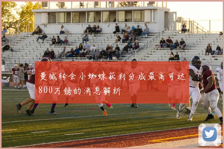 曼城转会小蜘蛛获利分成最高可达800万镑的消息解析